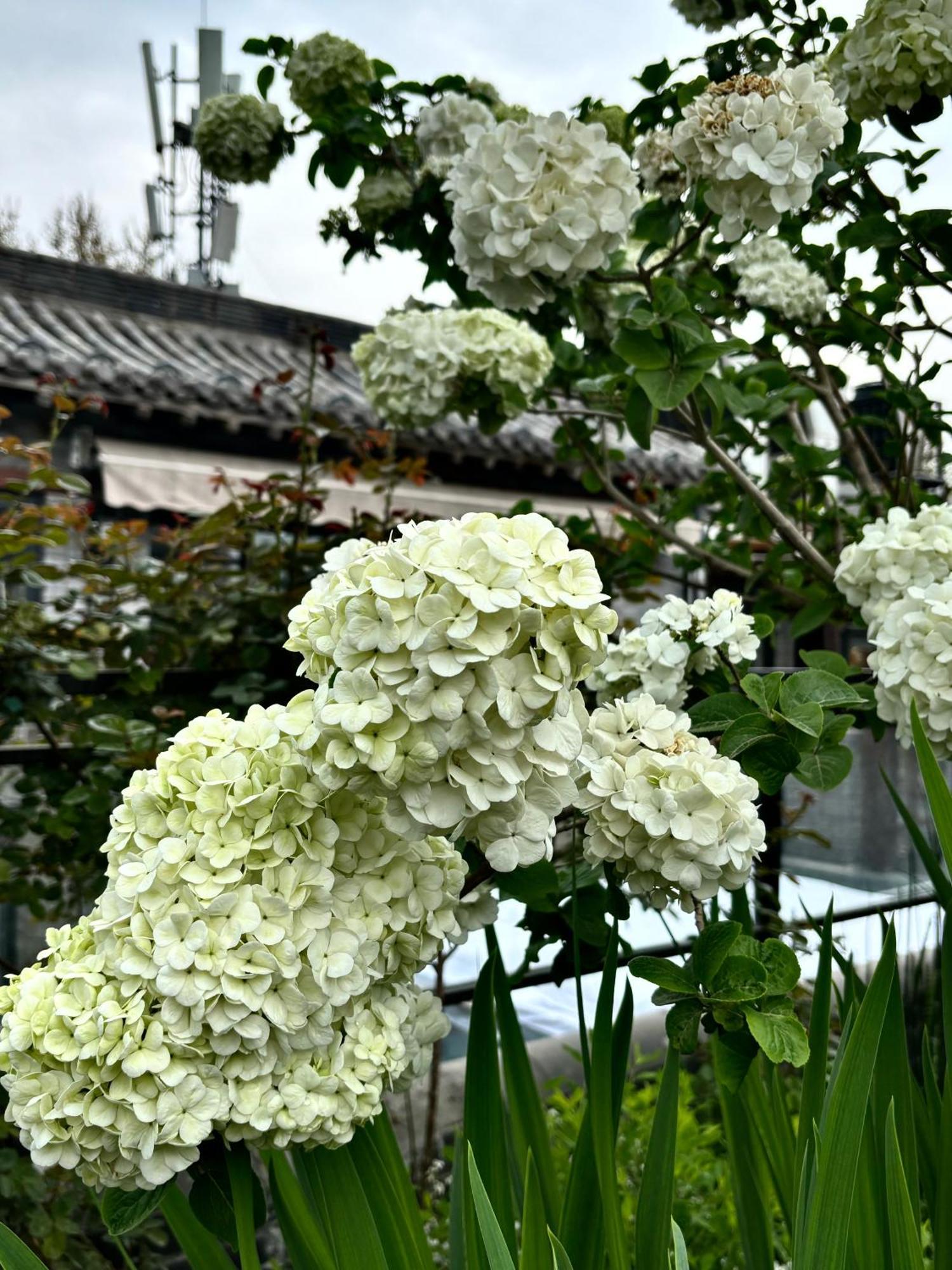 Honglu Garden Hotel Xi'An Bell And Drum Tower Huimin Street Store Екстериор снимка